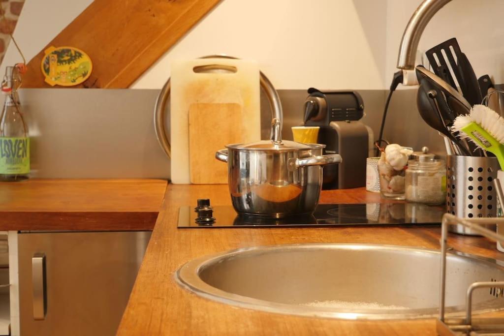 Oparadi 'Le Vieux Lille' A Deux Pas Des Boutiques Et Restaurants Εξωτερικό φωτογραφία